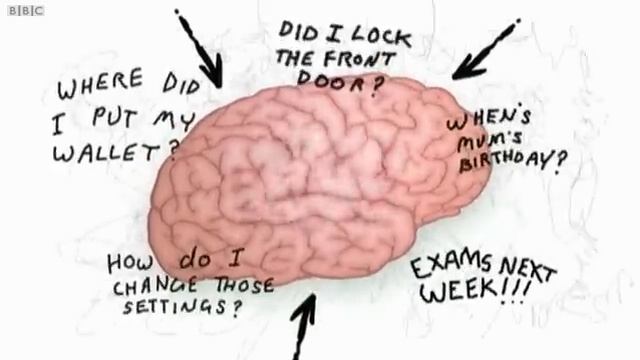 MODULE 1. LIFESTYLE, WORK AND LIFE BALANCE. Stress managing method. стр15 Video 1. смотреть онлайн