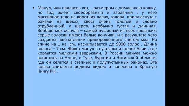 Дикие дикие кошки смотреть онлайн