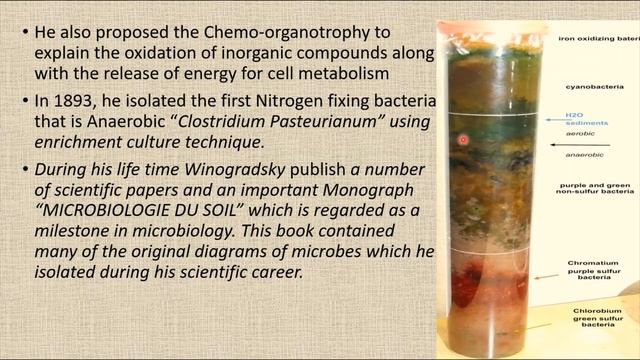 HISTORY OF MICROBIOLOGY II SERGEI WINOGRADSKY смотреть онлайн