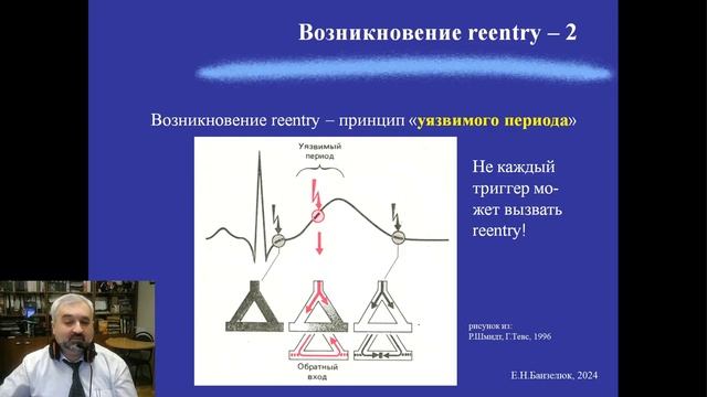 Патофизиология сердечных аритмий ЕН