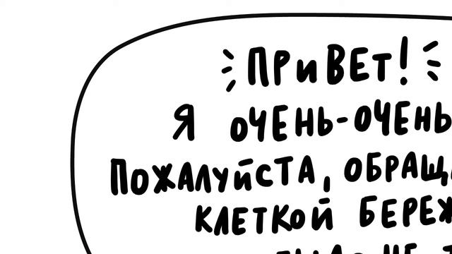 Прямая трансляция пользователя Анна Солякова смотреть онлайн