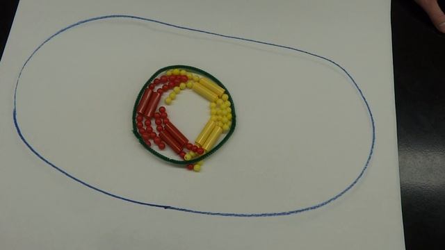 Lab 9: part 2 - Mitosis bead demonstration смотреть онлайн
