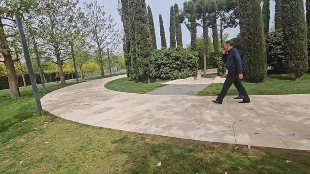 Как цветет Павловния у нас в Краснодаре. смотреть онлайн