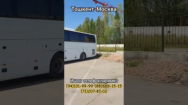 Тошкент Москва автобус #автобус #reels #рек #казань #москва #2024 #топ #шортс #ташкент #bus #travel смотреть онлайн