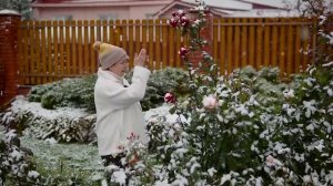 Садовый клуб Натальи Петренко. Розы в снегу - отвечаю на Ваши вопросы.