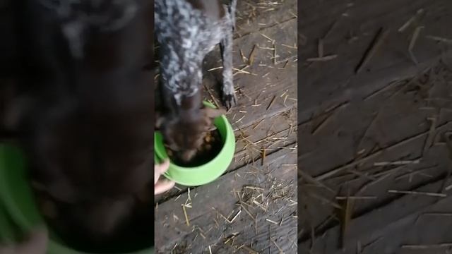 Аппетит приходит во время еды! смотреть онлайн