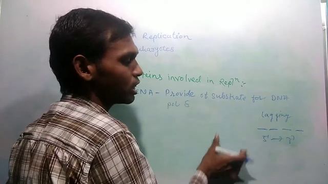 DNA Replication In Eukaryotes| Eukaryotes DNA Replication _Introduction HD