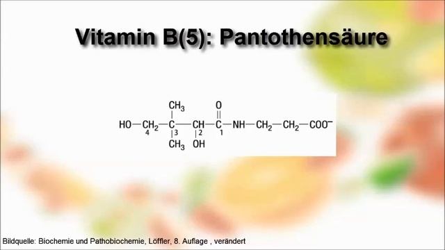 Biochemie ─ Wasserlösliche Vitamine смотреть онлайн