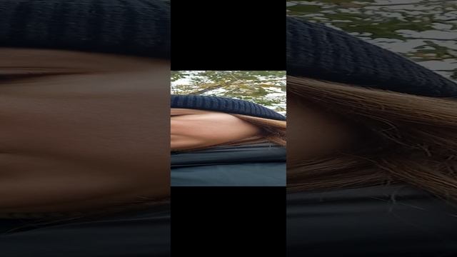 Стоит посмотреть хотябы раз этот фильм
Джек Николсон 