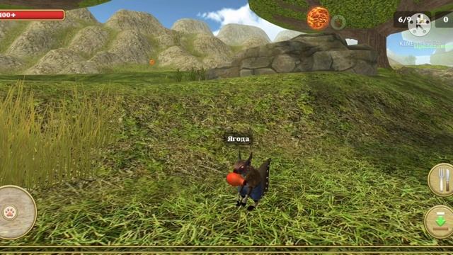 дупло для белки:_| смотреть онлайн