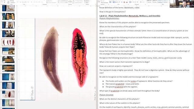 Lab Practical 3 Review