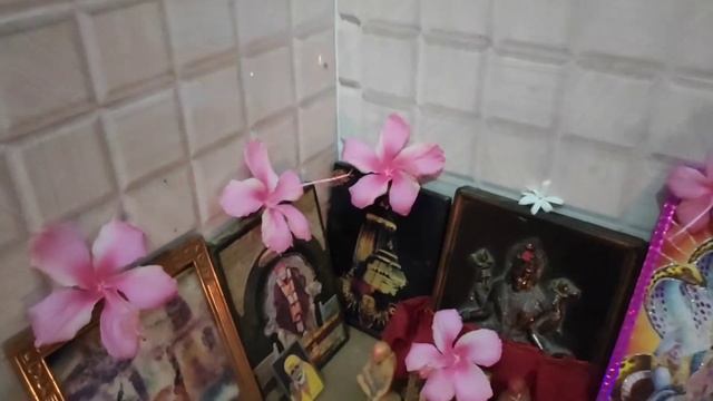 maa samalewari nkar krupa ru nutan barsha 2022 samastanka jibana re khusi r lahari khelijau.... смотреть онлайн