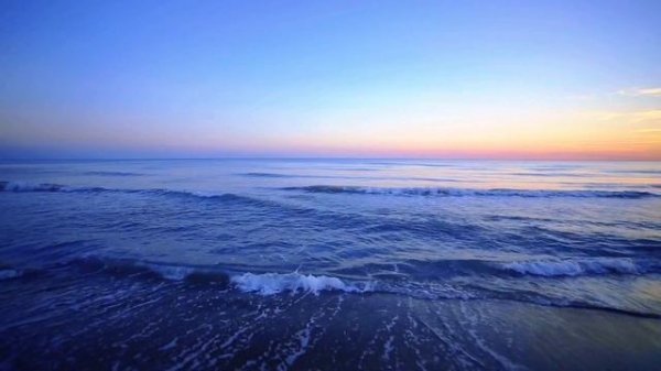 Avazbek Soliev-Oyna gulim oyna❤️🔥