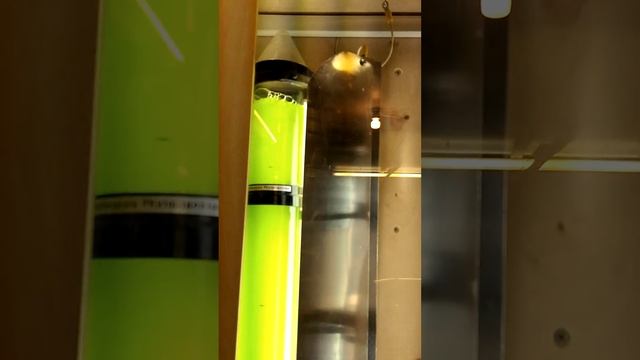 Live Plankton Reactors смотреть онлайн