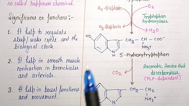 Synthesis & Significance of Serotonin (5-HT) & Melatonin | Biochemistry | BP203T | L~46 смотреть онлайн
