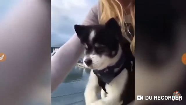 Тест на психику # 2 🤣🤣😊 смотреть онлайн