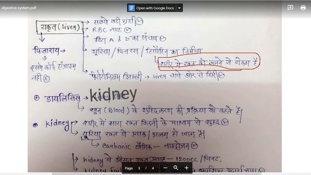DIGESTIVE SYSTEM AND ENZYME смотреть онлайн
