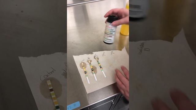 Urinary Lab: Reagent strips смотреть онлайн