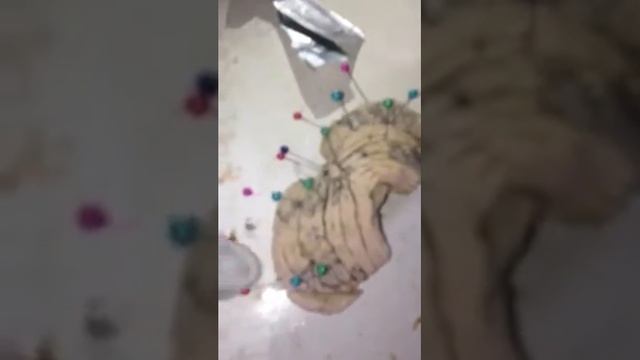 Cerebelo 5 смотреть онлайн