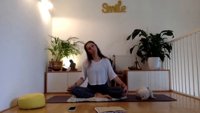 Kundalini kriya stimulating the lymph system смотреть онлайн