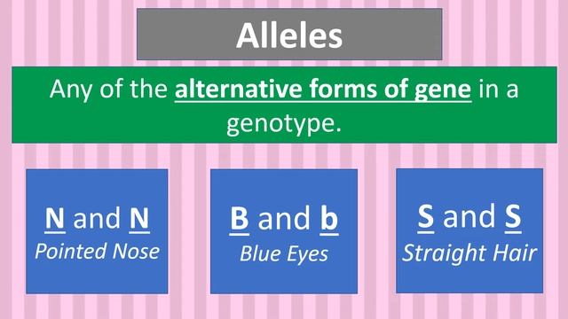 Heredity, Inheritance And Variation Grade 9 (Genetic Terms)