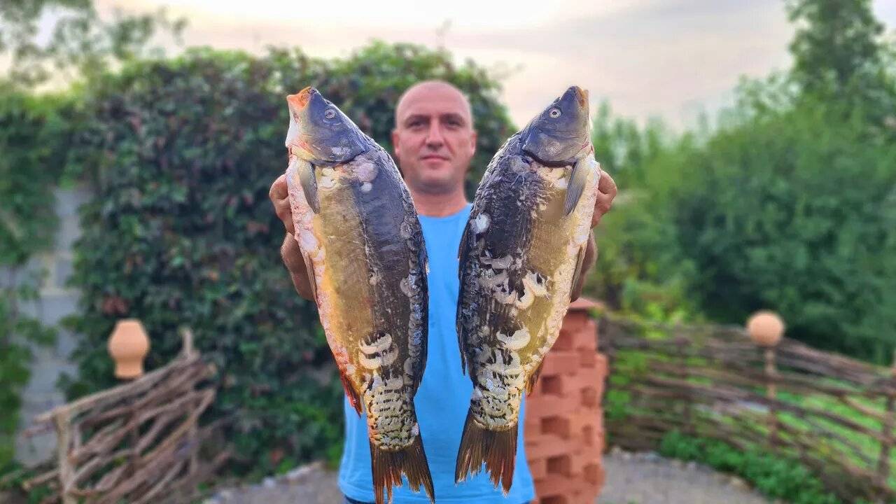 Карп на деревенском мангале - Шашлык из рыбы не готовь пока не посмотришь смотреть онлайн