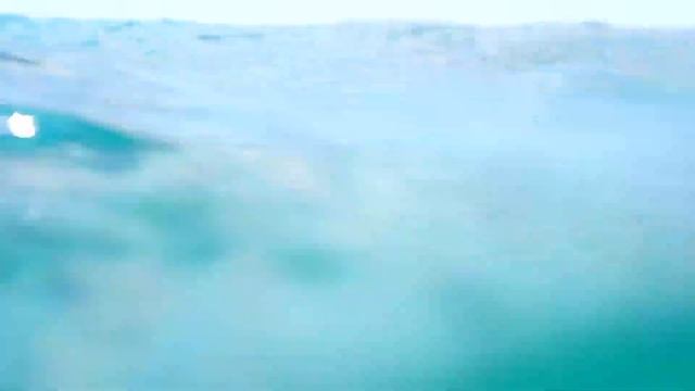 Kahe Monk Seal Emerging From Cave