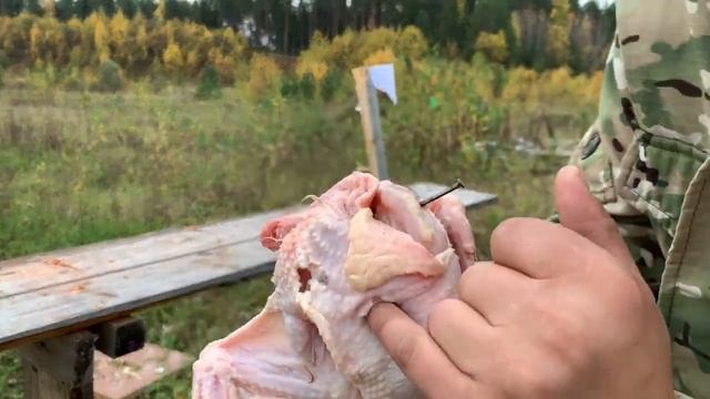 366ТКМ СТРЕЛЬБА ПО ПТИЦЕС TG-2, ОЧЕНЬ УДИВИЛСЯ_!!!