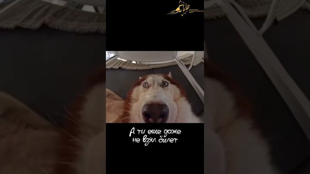 Казанский цирк