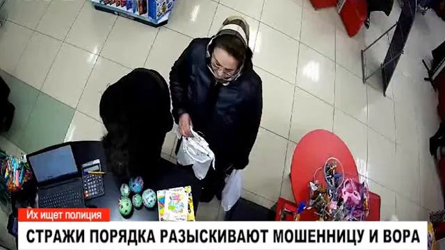 Полицейские разыскивают мошенницу и вора смотреть онлайн