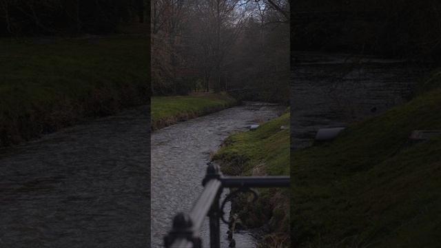 Словно дух леса поёт смотреть онлайн