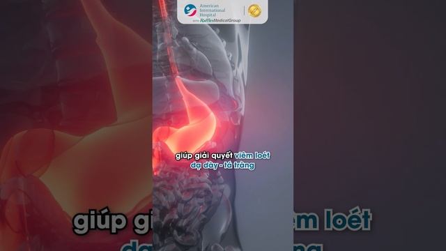 CÓ CẦN THIẾT PHẢI ĐIỀU TRỊ VIÊM DẠ DÀY DO NHIỄM HP KHÔNG?