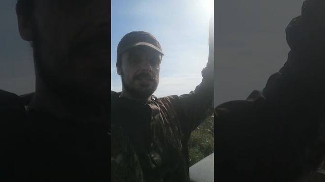 Утка добыта! И самое главное найдена! смотреть онлайн