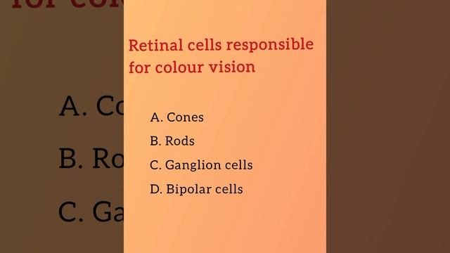 Retinal cells responsible for colour vision... Ophthalmology and Optometry MCQ смотреть онлайн