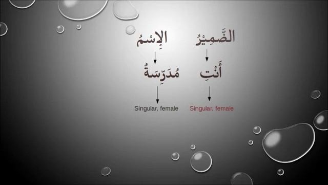 Separate Personal Pronoun in Arabic - الضَّمَائِرُ المُنْفَصِلَةُ смотреть онлайн