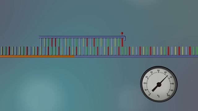 DNA Sequencing - 3D смотреть онлайн