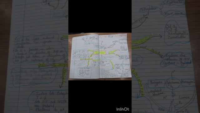 photosynthesis in higher plants #biology #neet #ncert || смотреть онлайн