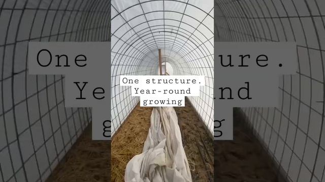 Greenhouse made of cattle panels for year-round growing! смотреть онлайн