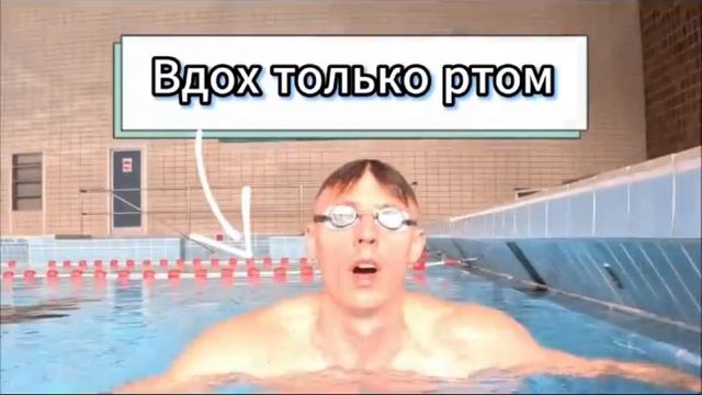 Правильное Дыхание В Кроле 3 упражнения смотреть онлайн