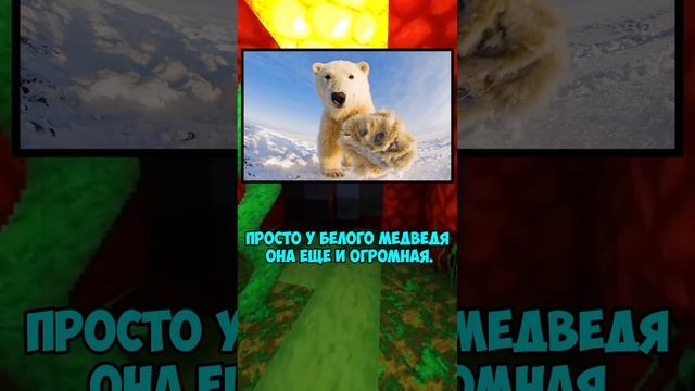 Поразительные факты #3 #факты #фактыинтересные