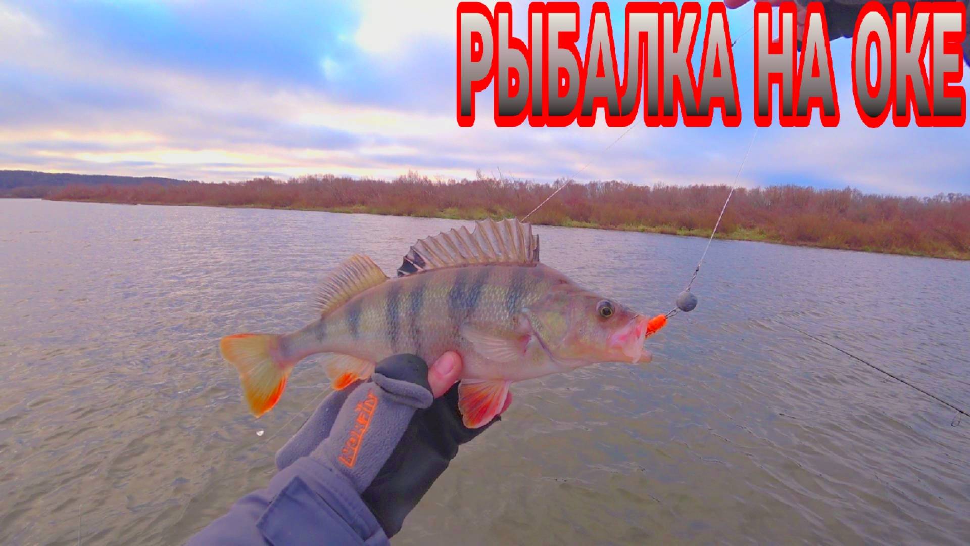 Ловля на джиг в ноябре. Рыбалка на Оке ловля хищника на спиннинг. смотреть онлайн