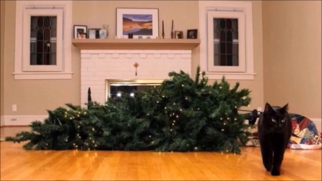 Język polski. Miejscownik смотреть онлайн