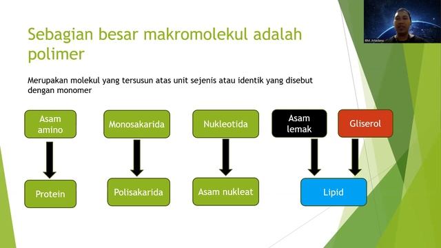 Makromolekul, protein, polisakarida, asam nukleat, lipid dan reaksi dehidrasi смотреть онлайн