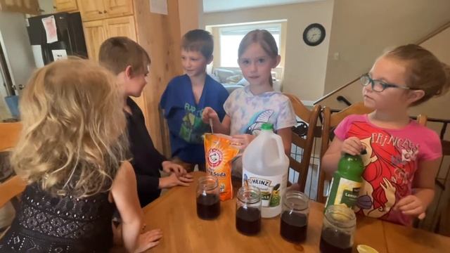 The PH Scale in Action смотреть онлайн