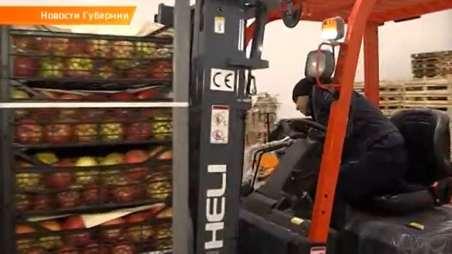 Визит казахстанской делегации смотреть онлайн