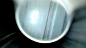 Лис 121 - осмотр бороскопом