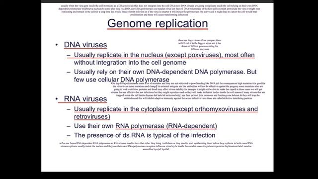 Viral Replication Process