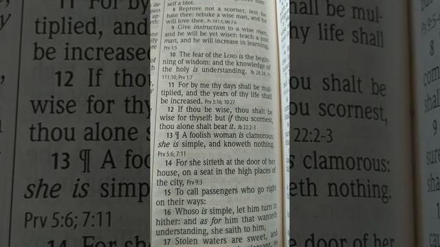 Proverbs 9:13 KJV смотреть онлайн