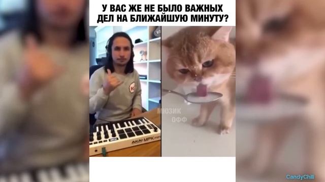 СУПЕР ВЕСЁЛОЕ ВИДЕО 😂 482 СЕКУНДЫ СМЕХА😂 ЗАСМЕЯЛСЯ - ПОДПИСАЛСЯ смотреть онлайн