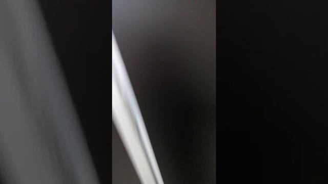 Голивуд Чернигов "Приключения Павела" Holywood смотреть онлайн